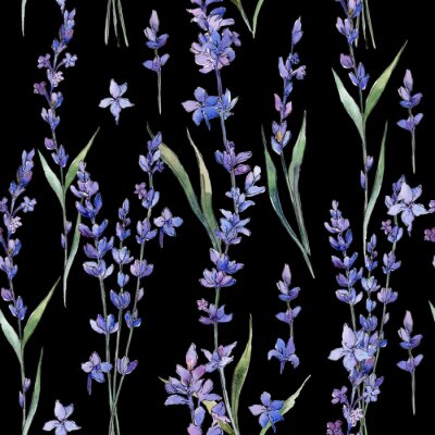 Tapete Aquarell-Lavendelblüten auf schwarzem Hintergrund