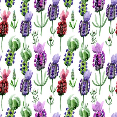 Tapete Aquarell-Lavendelblüten auf weißem Hintergrund