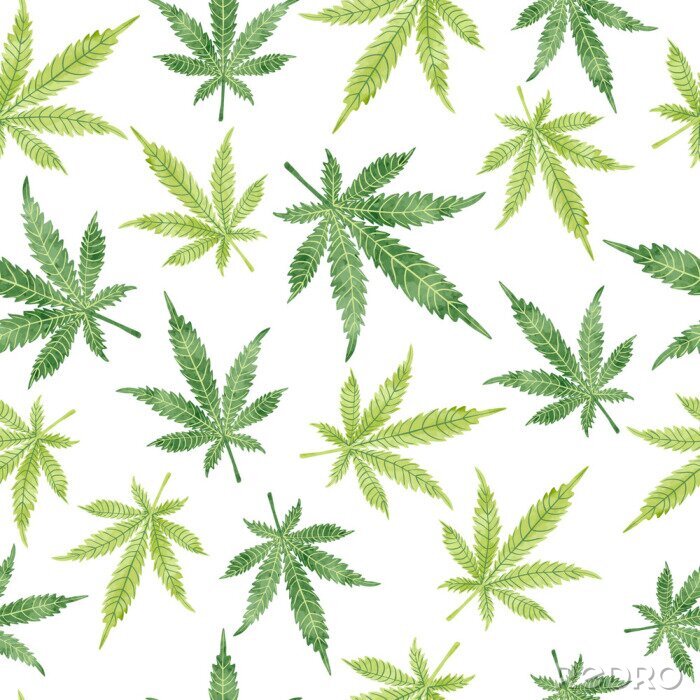Tapete Aquarell Marihuana Blätter nahtlose Muster. Vector Cannabis Hintergrund.