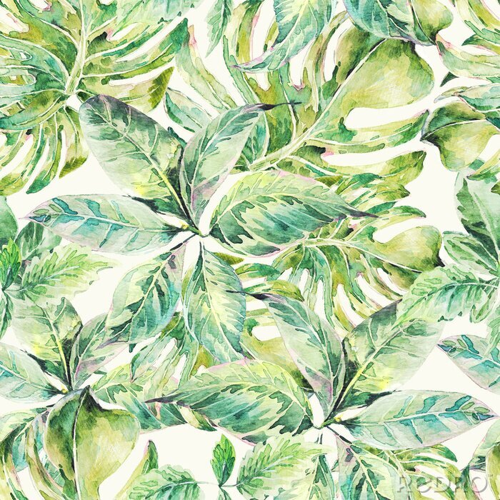 Tapete Aquarell-Muster mit Blättern in saftigem Grün
