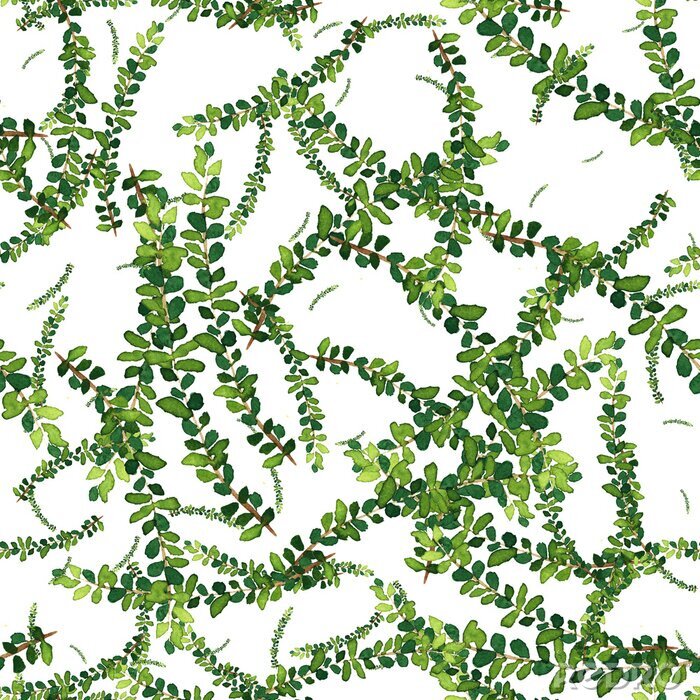 Tapete Aquarell nahtlose Muster mit Kräutern und Blättern.