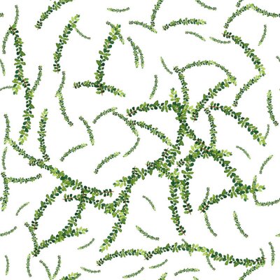 Tapete Aquarell nahtlose Muster mit Kräutern und Blättern.