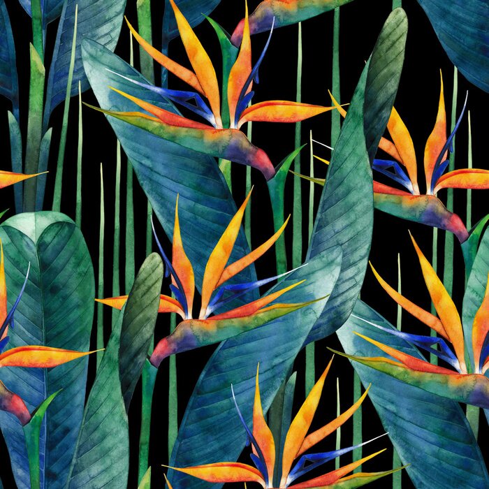 Tapete Aquarell Strelitzia mit Blumen auf schwarzem Hintergrund