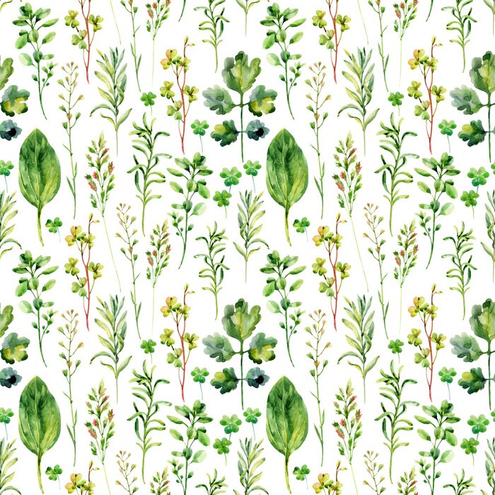 Tapete Aquarell Wildpflanzen
