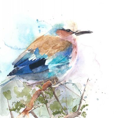 Aquarell zarter Vogel