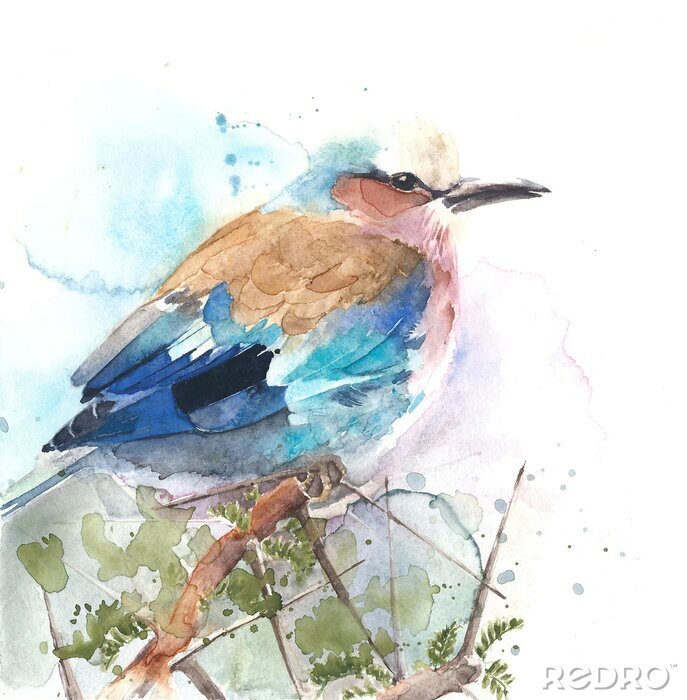 Tapete Aquarell zarter Vogel