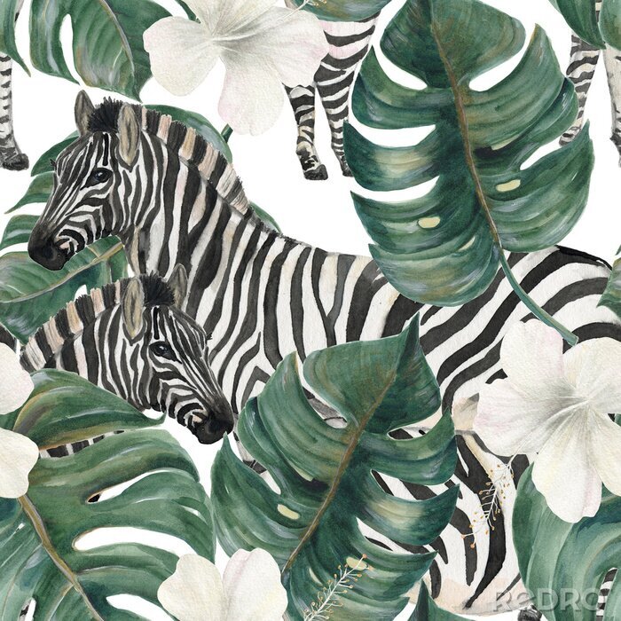 Tapete Aquarell-Zebras weiße Blumen und tropische Blätter