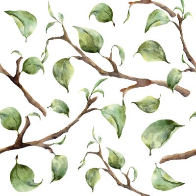Tapete Aquarellmuster mit Ästen und Blättern. Hand bemalt Frühjahr Ornament mit floralen Elementen mit Blättern isoliert auf weißem Hintergrund. Für Design und Stoff