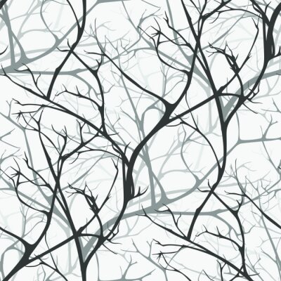 Tapete Bäume im Winterwald