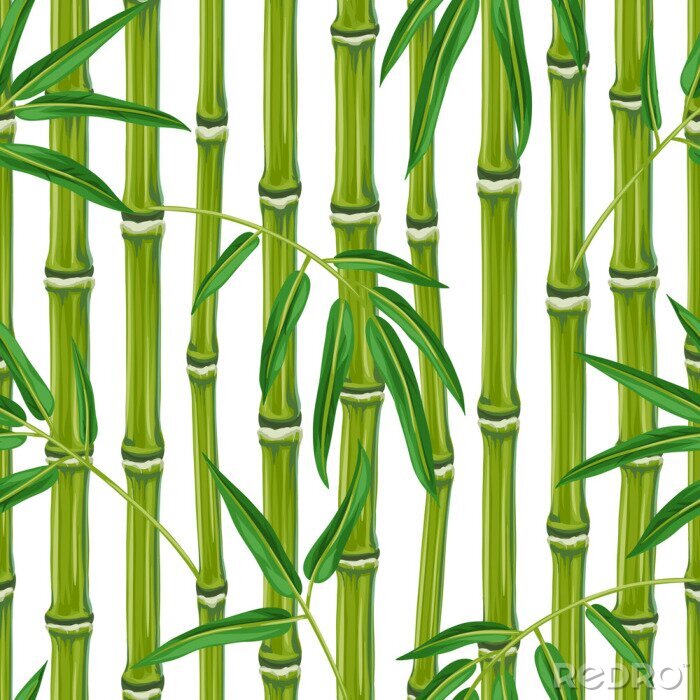 Tapete Bambus hautnah