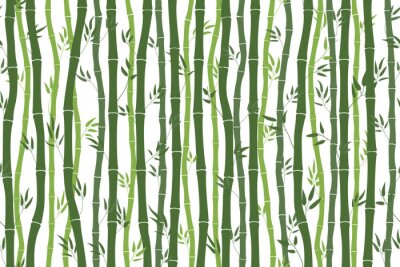 Tapete Bambusstiele mit Blättern