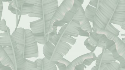 Tapete Bananenblätter grau