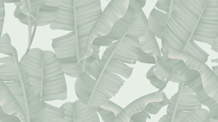 Tapete Bananenblätter grau