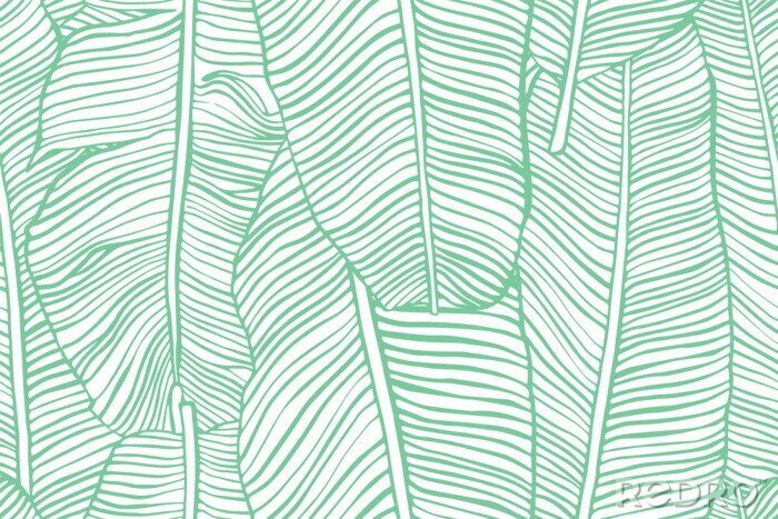 Tapete Bananenblätter mit einem grünen Strich skizziert