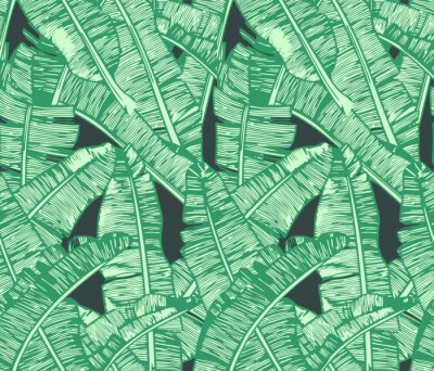 Tapete Bananenblätter Muster