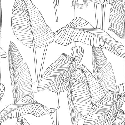Tapete Beautiful Palm Tree Leaf Silhouette Seamless Pattern Background Illustration EPS10. Black lines on white background.