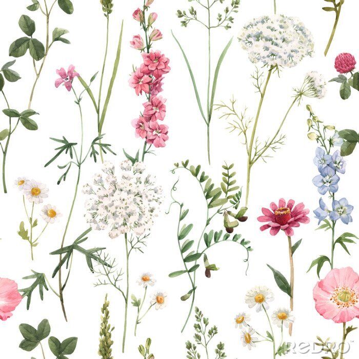 Tapete Beautiful vector floral summer seamless pattern with watercolor hand drawn field wild flowers. Stock illustration.