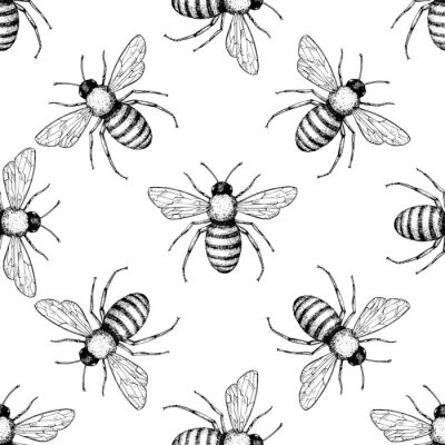 Tapete Bee vector seamless pattern. Hand drawn insect background. 