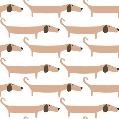 Tapete Beige Dachshunde auf weißem Hintergrund