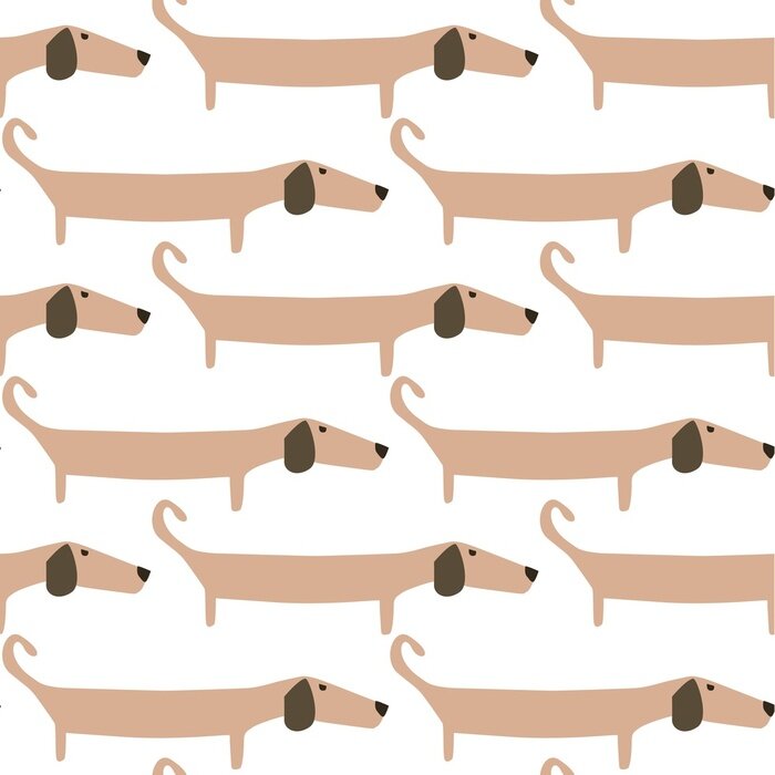 Tapete Beige Dachshunde auf weißem Hintergrund