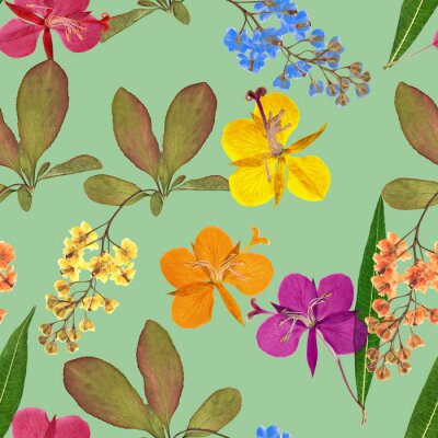 Tapete Berberitze und Weidenröschen auf blauem Grund