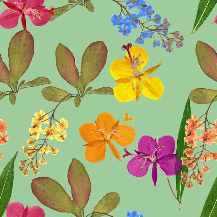 Tapete Berberitze und Weidenröschen auf blauem Grund