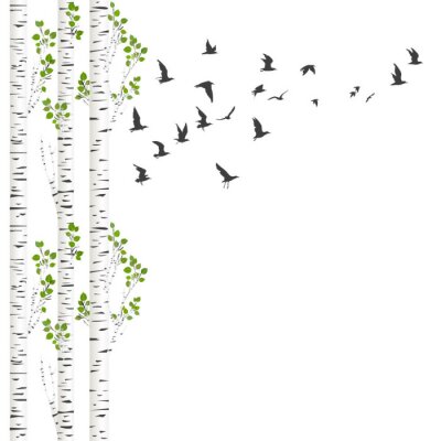 Birkenwald und Vögel im Flug