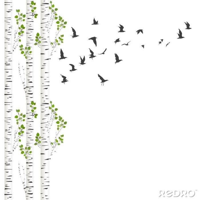 Tapete Birkenwald und Vögel im Flug