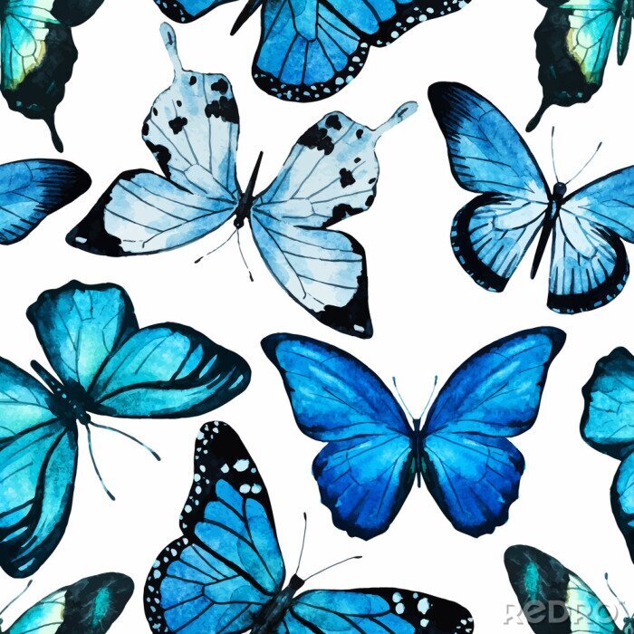 Tapete Blaue große Schmetterlinge auf weißem Hintergrund