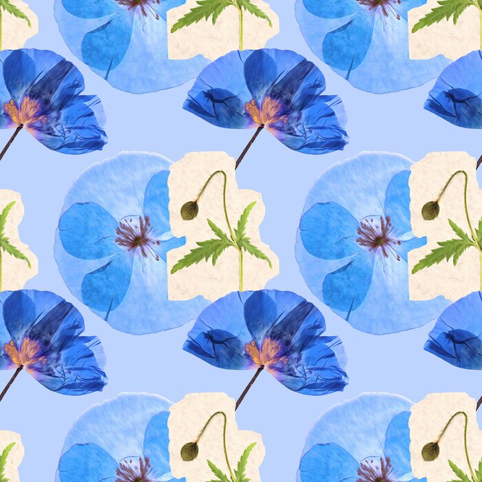 Tapete Blaue Mohnblumen