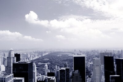 Blick auf nebligen Central Park