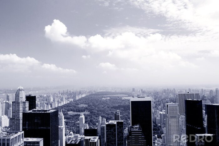 Tapete Blick auf nebligen Central Park