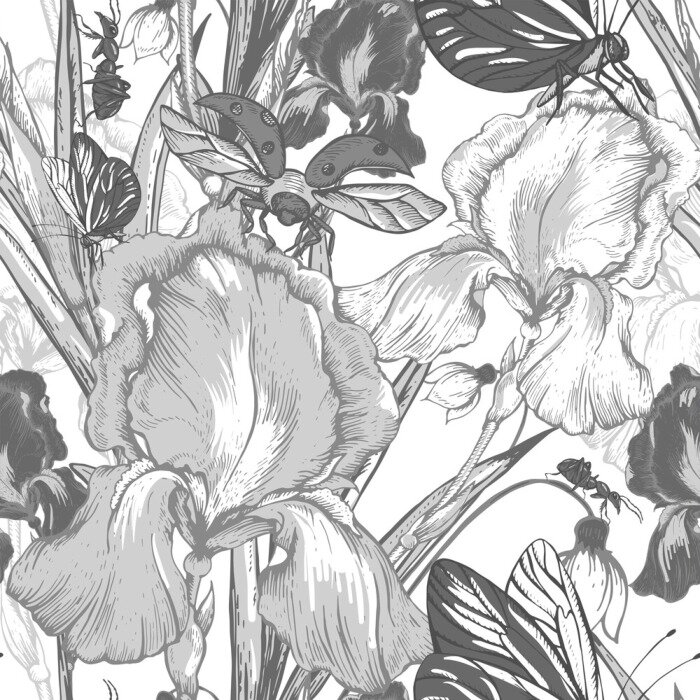 Tapete Blühende Schwertlilien