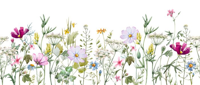 Tapete Blumen auf der Wiese