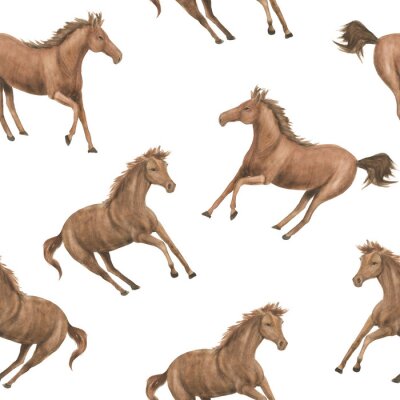 Tapete Braune Pferde auf weißem Hintergrund