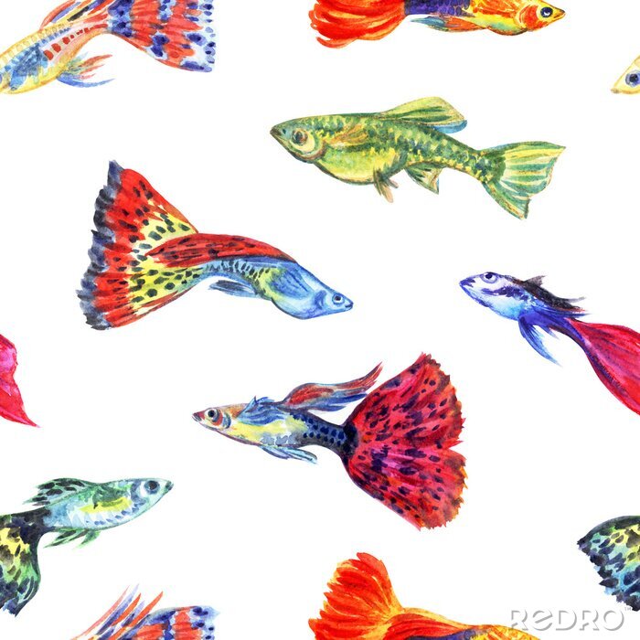 Tapete Bunte Aquarienfische gemalt mit Aquarell