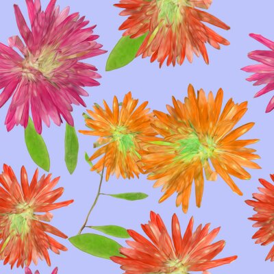 Tapete Bunte Astern am Himmel