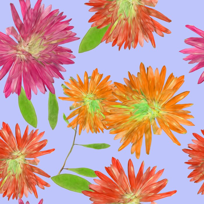 Tapete Bunte Astern am Himmel