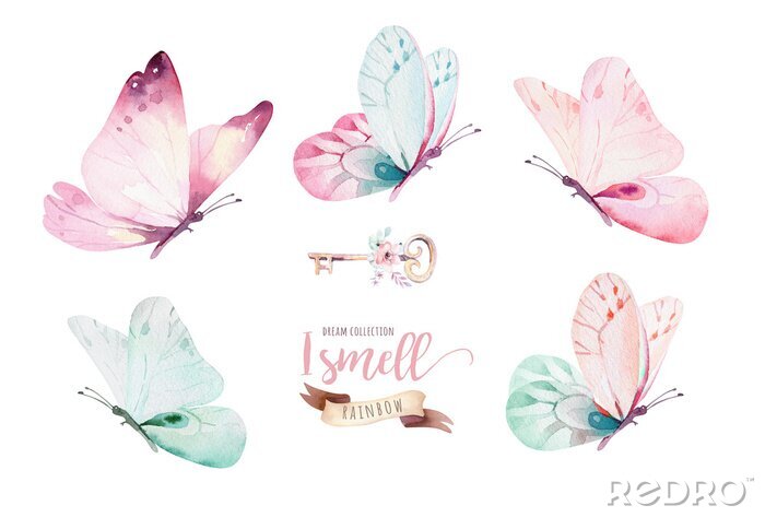 Tapete Bunte Schmetterlinge des Aquarells, lokalisiert auf weißem Hintergrund. blaue, gelbe, rosa und rote Schmetterlingsillustration.