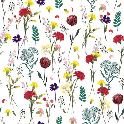 Tapete Bunte Sommerfeldblumen