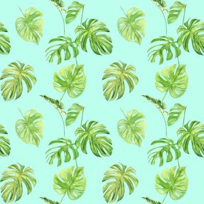 Tapete Bunte tropische Monstera