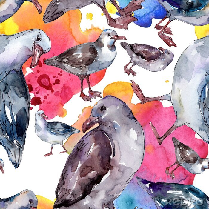 Tapete Bunte Vögel mit Aquarell gemalt