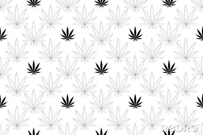 Tapete Cannabis seamless pattern. Marijuana floral pattern. Flat leaf of weed cannabis, monochrome black and whit. Marijuana design element seamless for fabric vector illustration.