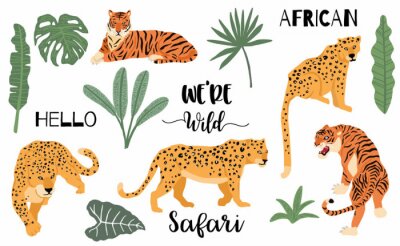 Cute animal object collection with leopard,tiger. illustration for icon,logo,sticker,printable.Include wording we are wild
