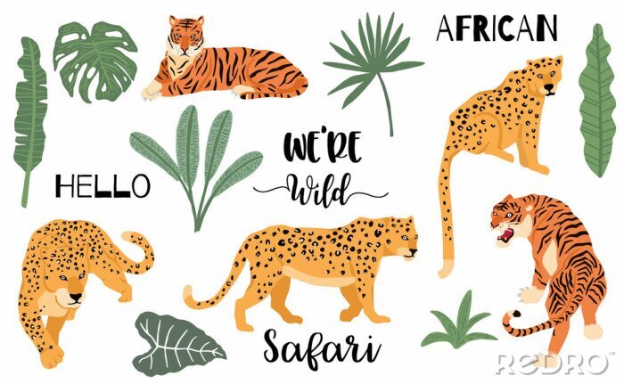 Tapete Cute animal object collection with leopard,tiger. illustration for icon,logo,sticker,printable.Include wording we are wild