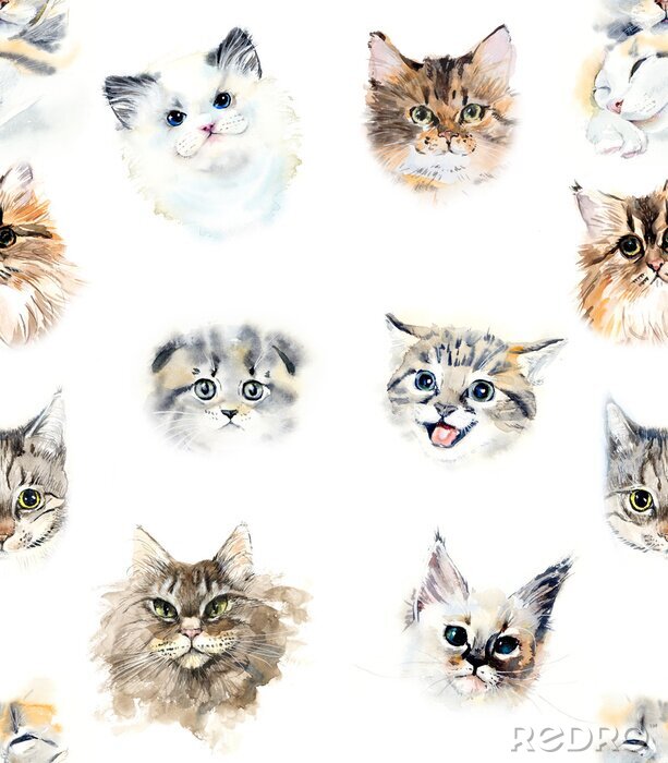 Tapete Design mit Köpfen von kleinen Katzen