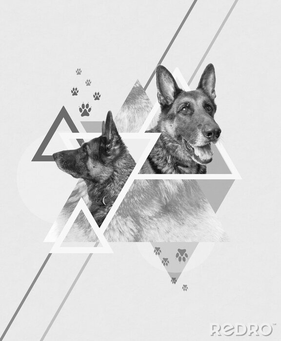 Tapete Deutscher Schäferhund Kunstwerk