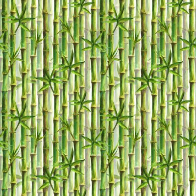 Tapete Dicht gepflanzter Bambus