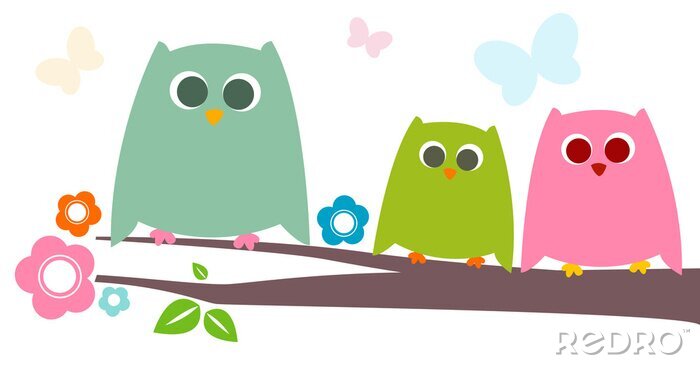 Tapete Drei bunte Eulen