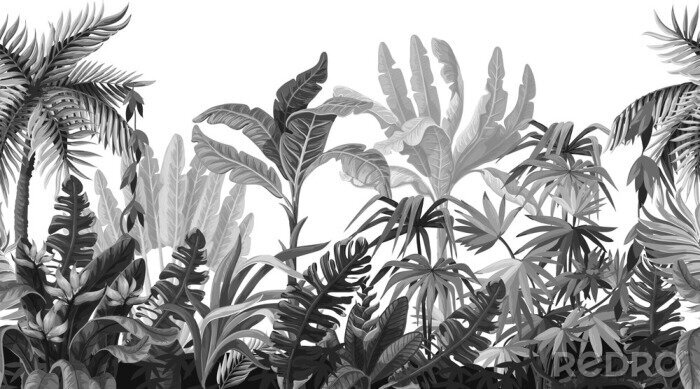 Tapete Dschungel graue Zeichnung